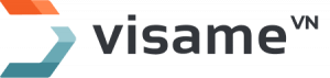 website vay tiền visame